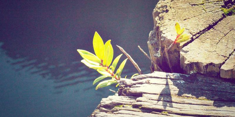 东莞二手车交易避坑指南：这5家专业评估检测机构，让你买车卖车都安心