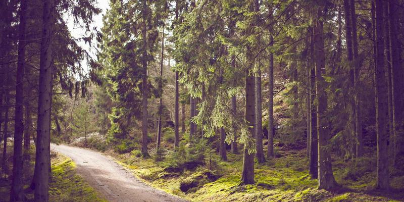 东莞二手车过户全攻略：流程、费用、避坑指南，一篇搞定！